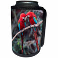 3dRose Danita Delimont - Parrots - Brazil, Jardim, Sinkhole of the Macaws. Red and green macaws nuzzling. - Can Cooler Bottle Wrap (cc_278175)