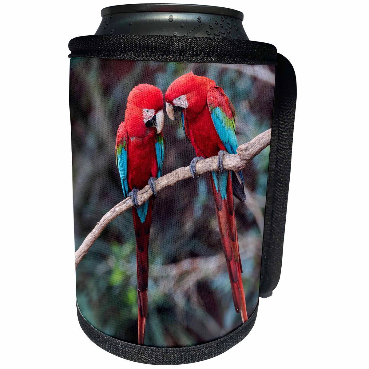 3dRose Danita Delimont - Parrots - Brazil, Jardim, Sinkhole of the Macaws. Red and green macaws nuzzling. - Can Cooler Bottle Wrap (cc_278175)