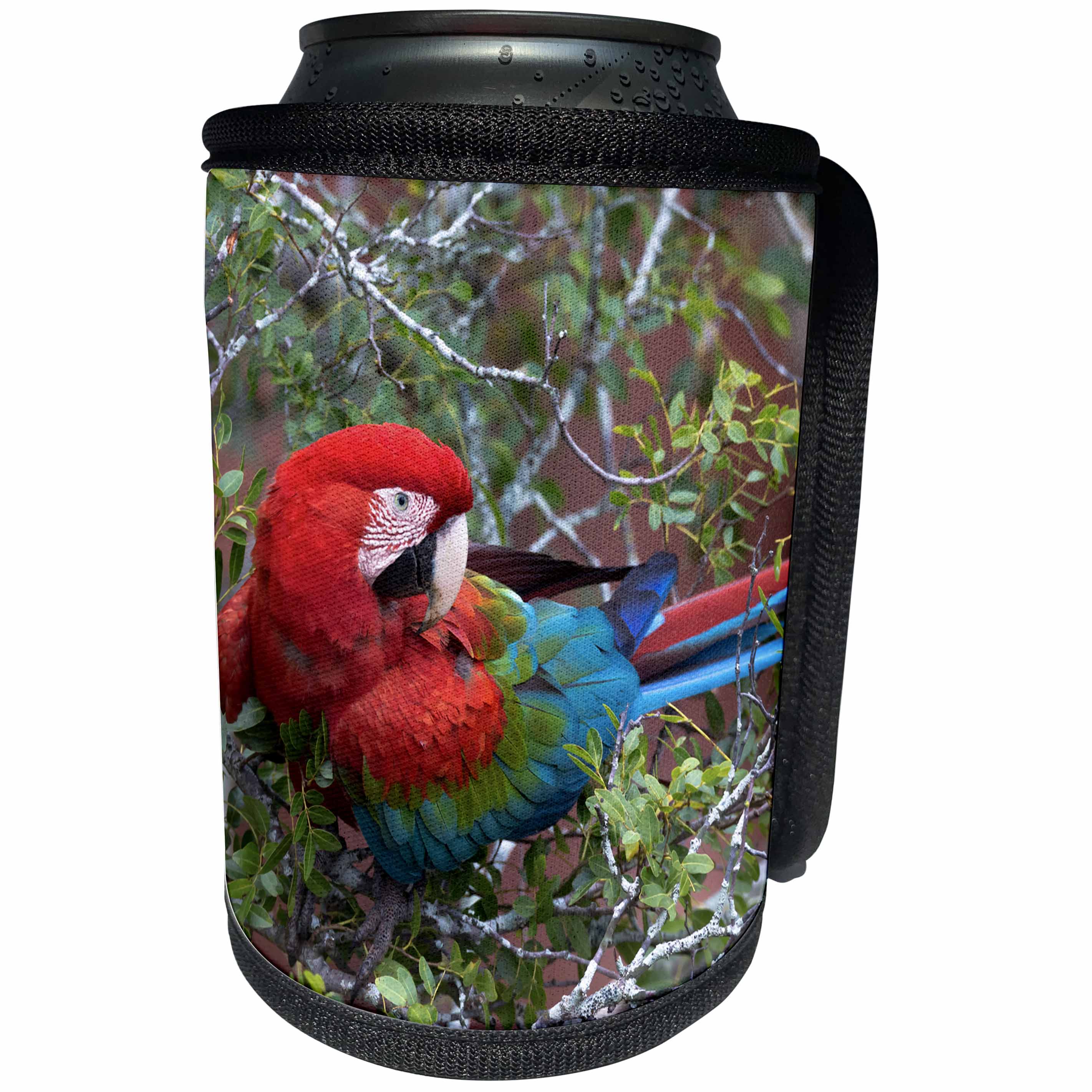 3dRose Danita Delimont - Parrots - Brazil, Sinkhole of the Macaws. Red and green macaw in a tree. - Can Cooler Bottle Wrap (cc_278180)
