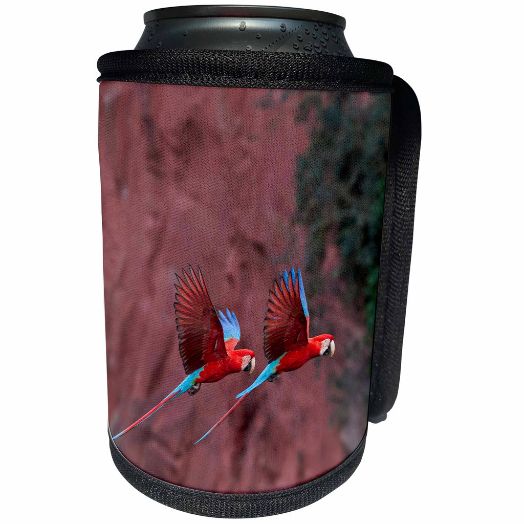 3dRose Danita Delimont - Parrots - Brazil, Jardim, Sinkhole of the Macaws. Red and green macaws. - Can Cooler Bottle Wrap (cc_278182)