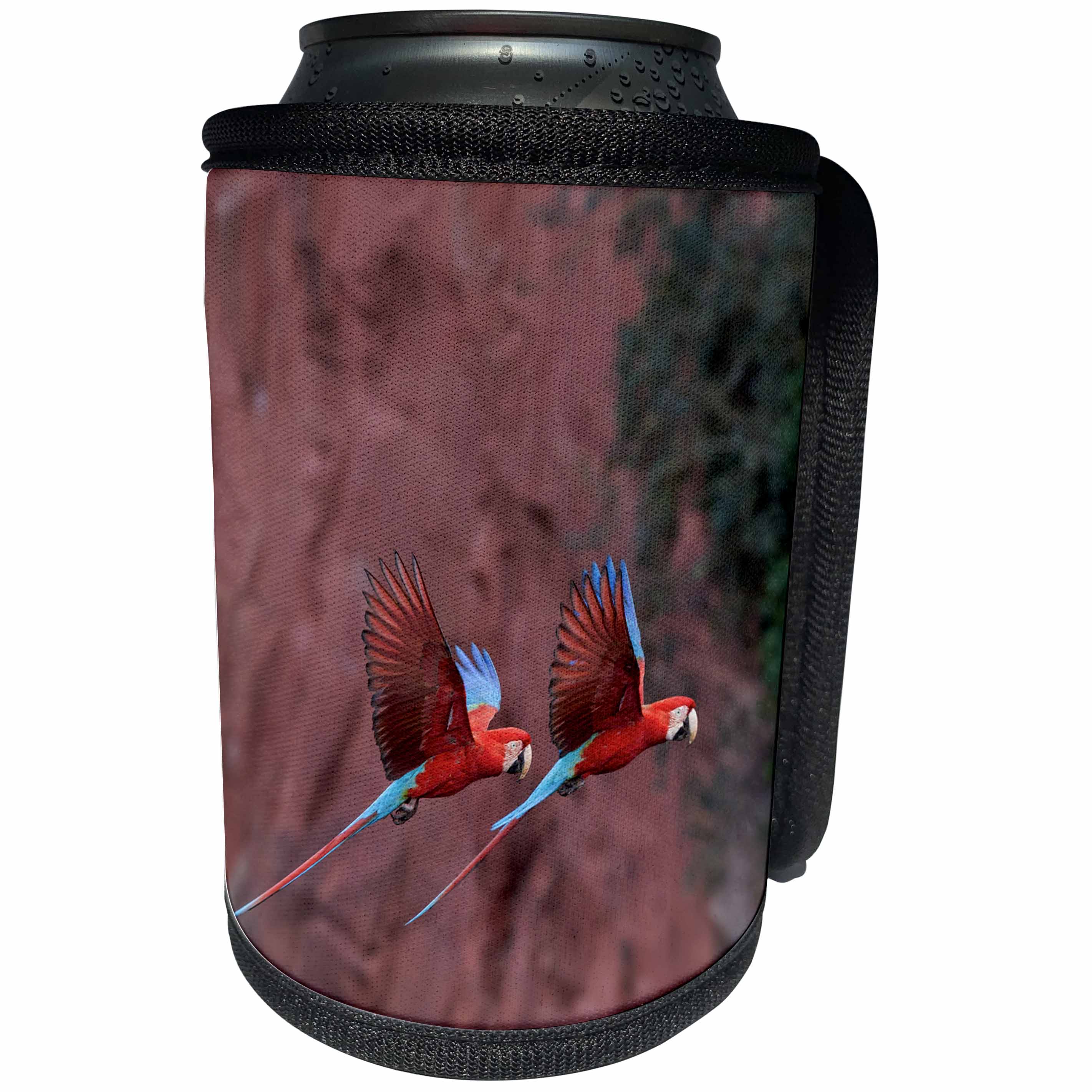 3dRose Danita Delimont - Parrots - Brazil, Jardim, Sinkhole of the Macaws. Red and green macaws. - Can Cooler Bottle Wrap (cc_278182)