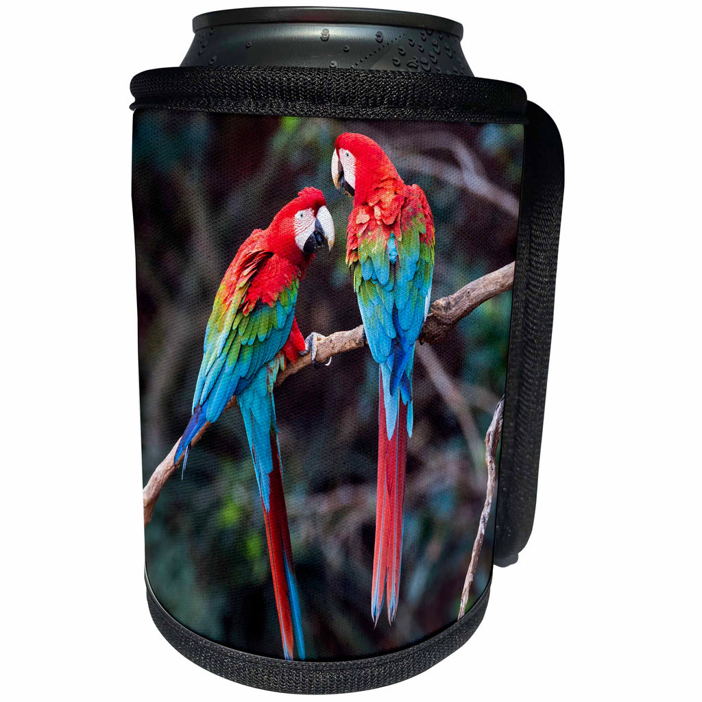 3dRose Danita Delimont - Parrots - Brazil, Jardim, Sinkhole of the Macaws. Red and green macaws together. - Can Cooler Bottle Wrap (cc_278183)