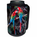 3dRose Danita Delimont - Parrots - Brazil, Jardim, Sinkhole of the Macaws. Red and green macaws together. - Can Cooler Bottle Wrap (cc_278183)