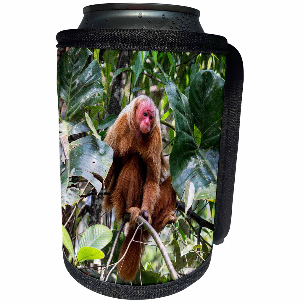 3dRose Danita Delimont - Primates - Brazil, Amazon, Manaus, Portrait of a bald uakari monkey in the trees. - Can Cooler Bottle Wrap (cc_278195)