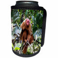 3dRose Danita Delimont - Primates - Brazil, Amazon, Manaus, Portrait of a bald uakari monkey in the trees. - Can Cooler Bottle Wrap (cc_278195)