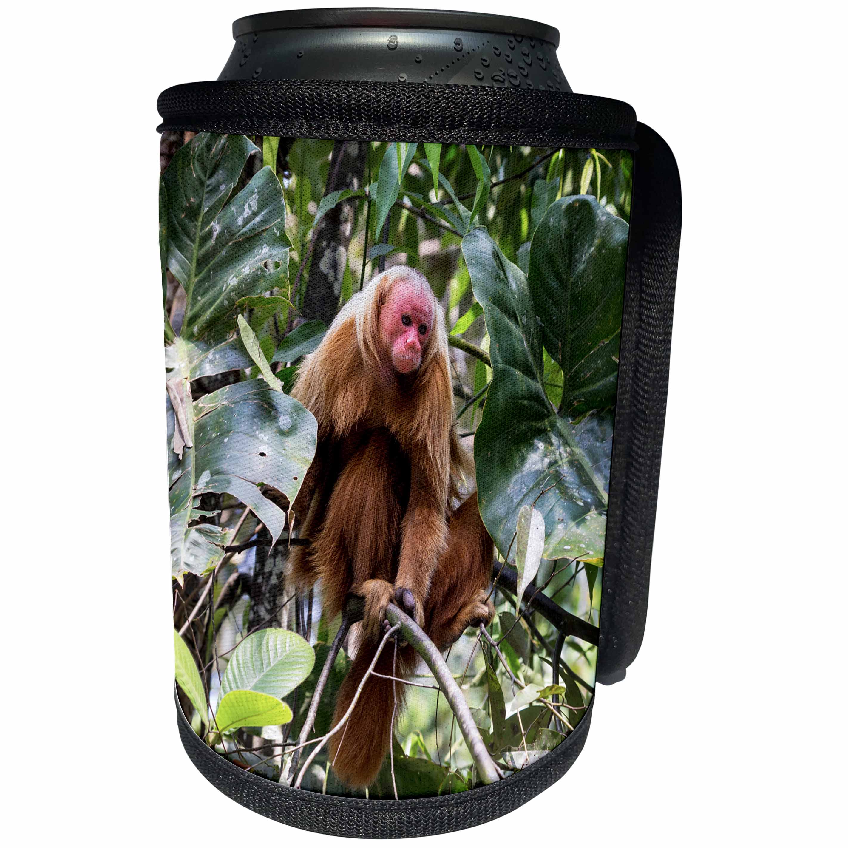 3dRose Danita Delimont - Primates - Brazil, Amazon, Manaus, Portrait of a bald uakari monkey in the trees. - Can Cooler Bottle Wrap (cc_278195)