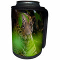 3dRose Danita Delimont - Jaguars - Brazil, Pantanal,. A male jaguar hiding in bushes. - Can Cooler Bottle Wrap (cc_278204)