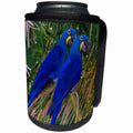3dRose Danita Delimont - Parrot - Brazil. Hyacinth macaws a vulnerable species of parrot in the Pantanal - Can Cooler Bottle Wrap (cc_278205)