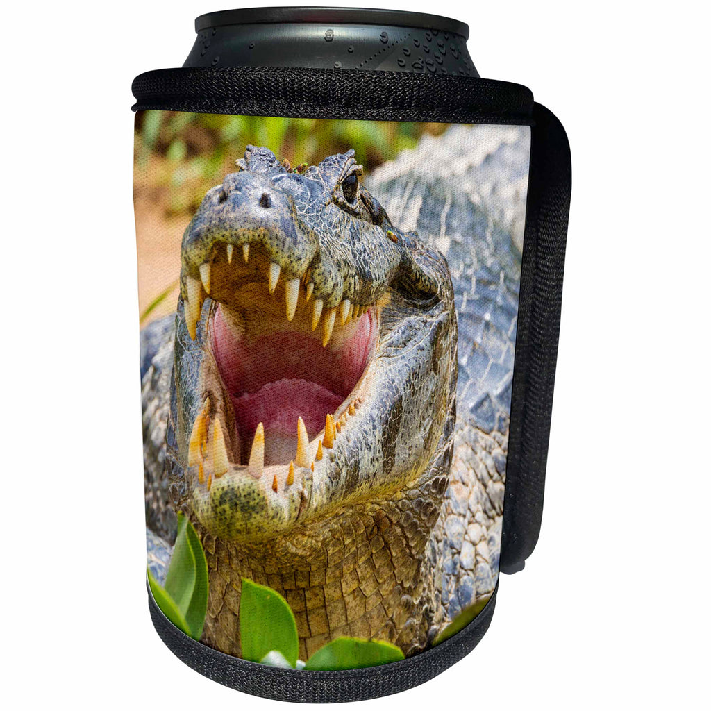3dRose Danita Delimont - Reptiles - Brazil, Pantanal, A spectacled caiman showing off its teeth. - Can Cooler Bottle Wrap (cc_278212)