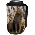 3dRose Danita Delimont - Baby animals - Brazil. A capybara sitting in muddy water with its offspring. - Can Cooler Bottle Wrap (cc_278214)