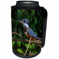 3dRose Danita Delimont - Birds - Brazil. Amazon kingfisher with a small captured fish in the Pantanal. - Can Cooler Bottle Wrap (cc_278216)