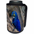 3dRose Danita Delimont - Parrot - Brazil, Pantanal. Hyacinth macaw cleaning its foot. - Can Cooler Bottle Wrap (cc_278218)