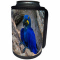 3dRose Danita Delimont - Parrot - Brazil, Pantanal. Hyacinth macaw peched in a tree hollow. - Can Cooler Bottle Wrap (cc_278219)