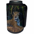 3dRose Danita Delimont - Big Cats - Brazil. A jaguar looks out along the banks of a river in the Pantanal. - Can Cooler Bottle Wrap (cc_278231)