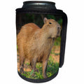 3dRose Danita Delimont - Animals - Brazil, Pantanal A capybara walking proudly. - Can Cooler Bottle Wrap (cc_278232)
