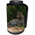 3dRose Danita Delimont - Big Cats - Brazil, Pantanal. Jaguar cooling itself along the banks of a river. - Can Cooler Bottle Wrap (cc_278233)