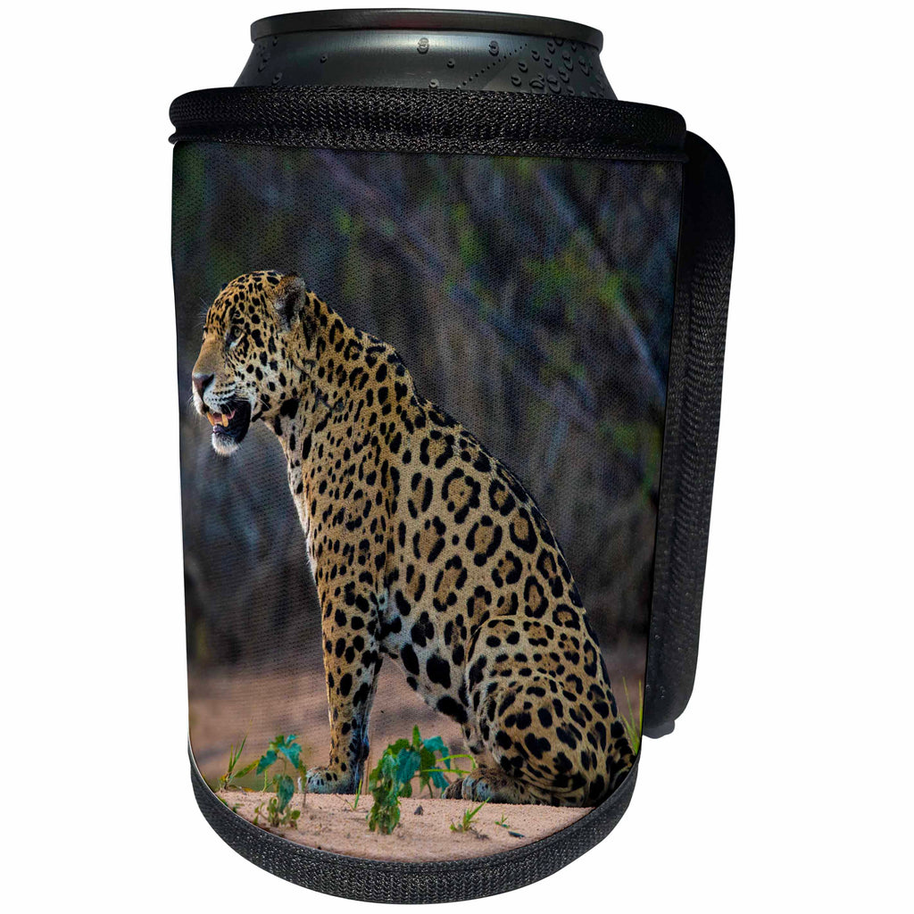 3dRose Danita Delimont - Big Cats - Brazil, Pantanal.. A jaguar sitting along the banks of a river. - Can Cooler Bottle Wrap (cc_278234)