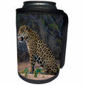 3dRose Danita Delimont - Big Cats - Brazil, Pantanal.. A jaguar sitting along the banks of a river. - Can Cooler Bottle Wrap (cc_278234)