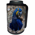 3dRose Danita Delimont - Parrot - Brazil, Pantanal. Curious Hyacinth macaw in a tree hollow. - Can Cooler Bottle Wrap (cc_278237)