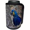 3dRose Danita Delimont - Parrot - Brazil, Pantanal. Hyacinth macaw parrot. - Can Cooler Bottle Wrap (cc_278238)