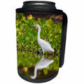 3dRose Danita Delimont - Birds - Brazil. A Snowy egret is commonly found in the Pantanal. - Can Cooler Bottle Wrap (cc_278239)