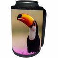 3dRose Danita Delimont - Birds - Brazil, Mato Grosso Do Sul. Toco Toucan in a field of flowers. - Can Cooler Bottle Wrap (cc_278240)