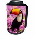 3dRose Danita Delimont - Birds - Brazil, Mato Grosso Do Sul. Toco Toucan standing on pink flowers. - Can Cooler Bottle Wrap (cc_278241)