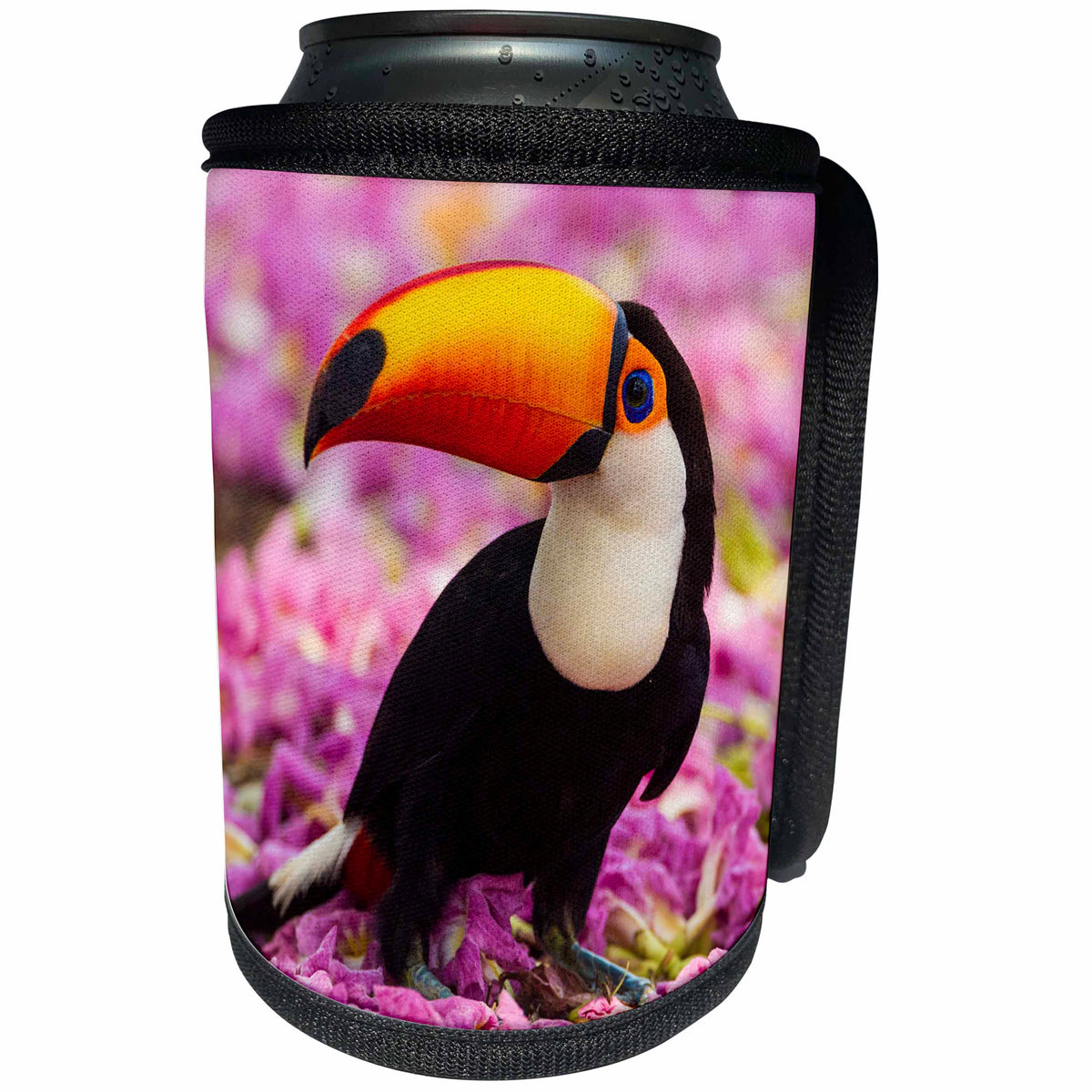 3dRose Danita Delimont - Birds - Brazil, Mato Grosso Do Sul. Toco Toucan standing on pink flowers. - Can Cooler Bottle Wrap (cc_278241)