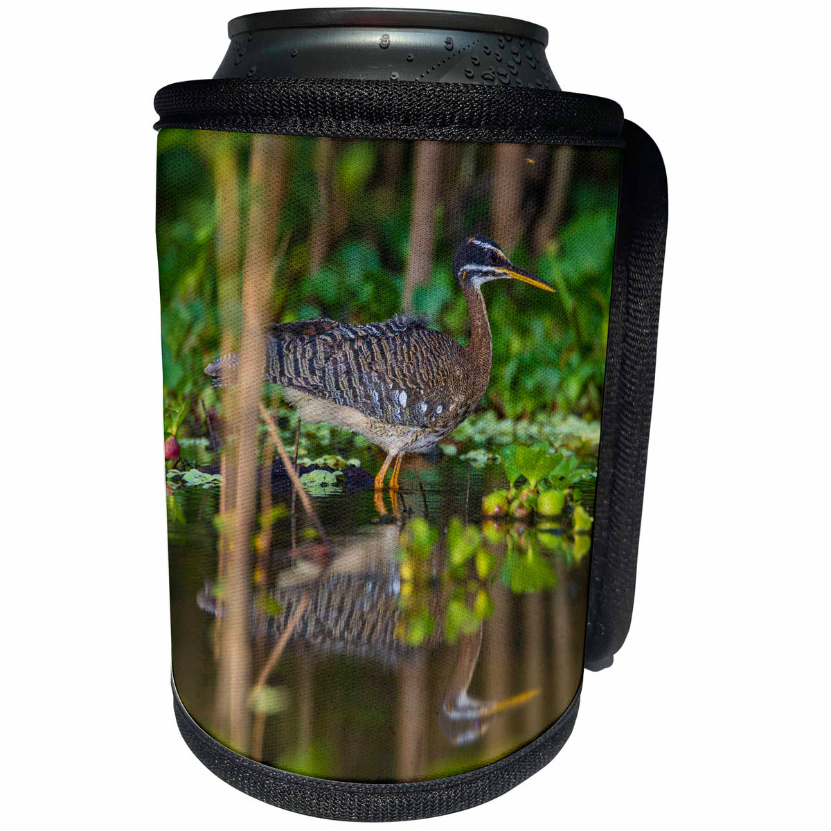 3dRose Danita Delimont - Birds - Brazil, Pantanal. A sunbittern foraging along the banks of a river - Can Cooler Bottle Wrap (cc_278243)