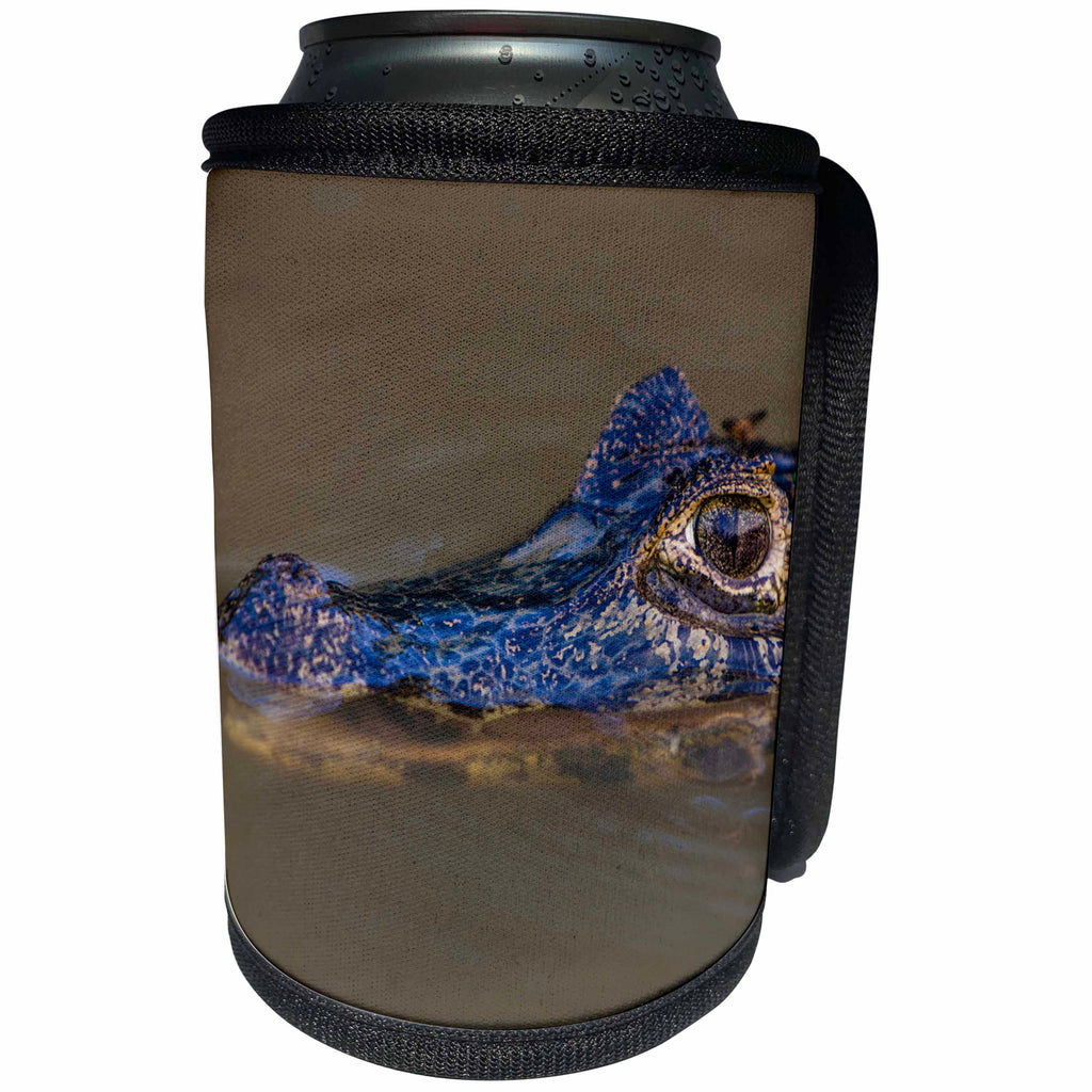 3dRose Danita Delimont - Reptiles - Brazil, Pantanal, A spectacled caiman swimming in muddy waters. - Can Cooler Bottle Wrap (cc_278244)