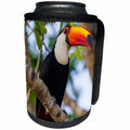 3dRose Danita Delimont - Birds - Brazil, Mato Grosso Do Sul. Portrait of a Toco Toucan. - Can Cooler Bottle Wrap (cc_278245)