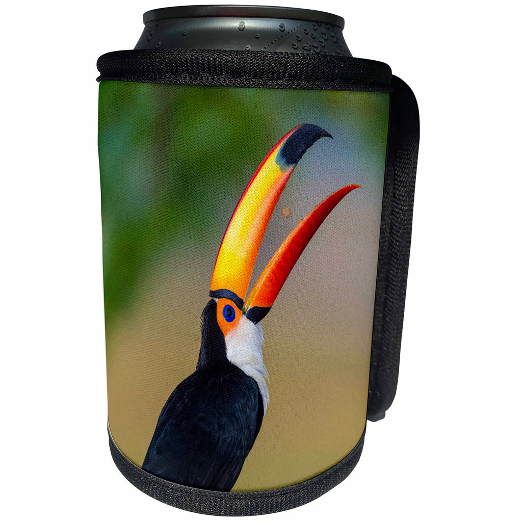 3dRose Danita Delimont - Birds - Brazil, Mato Grosso Do Sul. Toco Toucan eating a berry - Can Cooler Bottle Wrap (cc_278248)