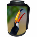 3dRose Danita Delimont - Birds - Brazil, Mato Grosso Do Sul. Toco Toucan eating a berry - Can Cooler Bottle Wrap (cc_278248)