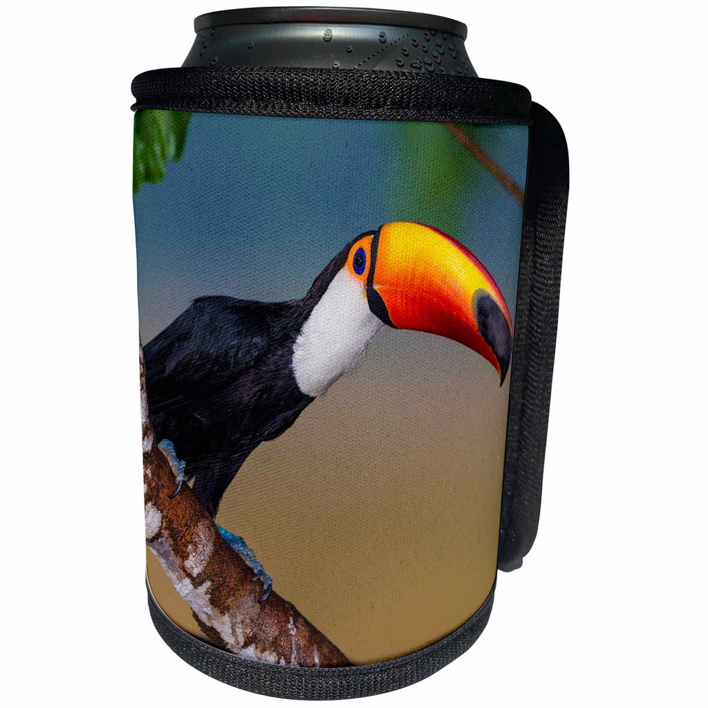 3dRose Danita Delimont - Birds - Brazil, Mato Grosso Do Sul. Toco Toucan saying hi. - Can Cooler Bottle Wrap (cc_278249)