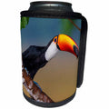 3dRose Danita Delimont - Birds - Brazil, Mato Grosso Do Sul. Toco Toucan saying hi. - Can Cooler Bottle Wrap (cc_278249)