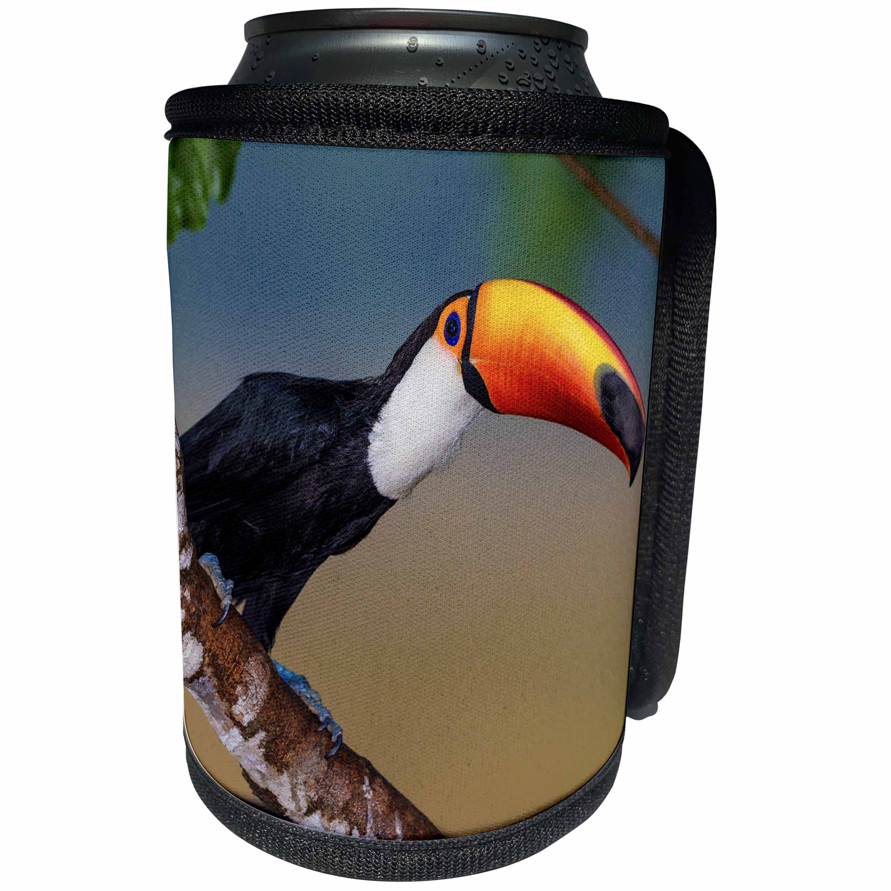 3dRose Danita Delimont - Birds - Brazil, Mato Grosso Do Sul. Toco Toucan saying hi. - Can Cooler Bottle Wrap (cc_278249)