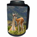 3dRose Danita Delimont - Llamas - Guanaco mother and baby, Andes, Torres del Paine NP, Chile - Can Cooler Bottle Wrap (cc_278261)