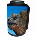3dRose Danita Delimont - Iguana - Marine Iguana, Galapagos Islands, Ecuador - Can Cooler Bottle Wrap (cc_278277)
