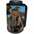 3dRose Danita Delimont - Iguana - Marine Iguana basking in the sun, Galapagos Islands, Ecuador - Can Cooler Bottle Wrap (cc_278278)