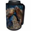 3dRose Danita Delimont - Iguana - Marine Iguanas, Galapagos Islands, Ecuador - Can Cooler Bottle Wrap (cc_278279)