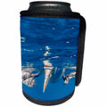 3dRose Danita Delimont - Seabirds - Blue Footed Booby, Galapagos Islands - Can Cooler Bottle Wrap (cc_278280)