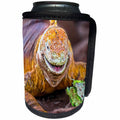 3dRose Danita Delimont - Iguana - Galapagos land iguana, Galapagos Islands, Ecuador - Can Cooler Bottle Wrap (cc_278281)