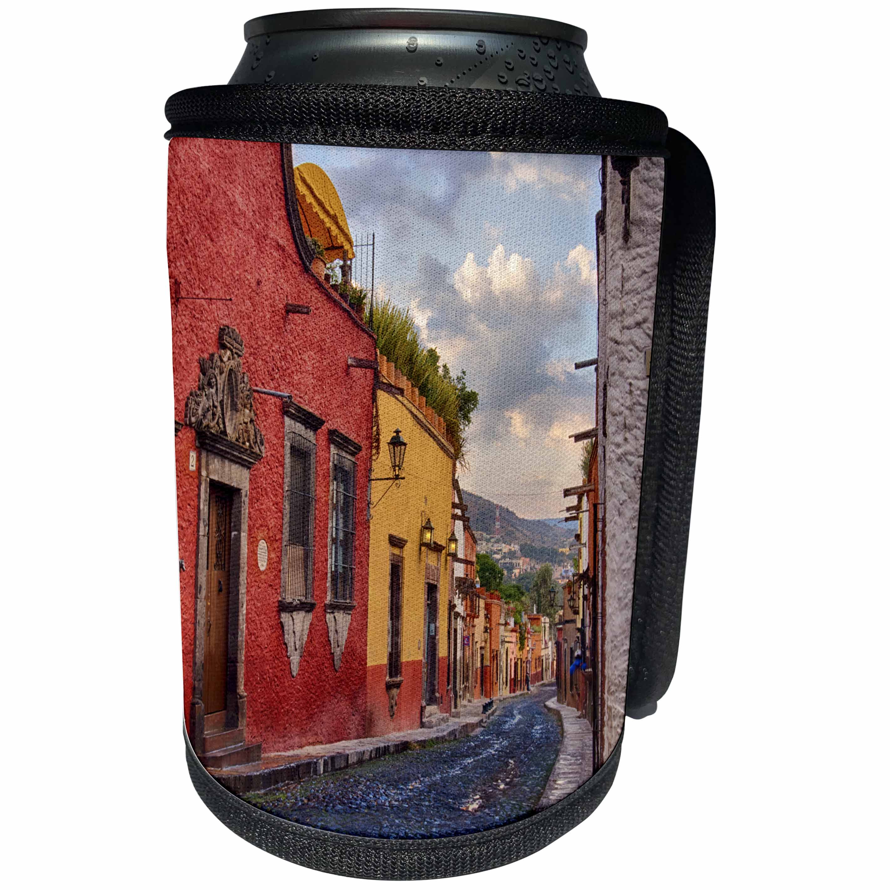 3dRose Danita Delimont - Architecture - Mexico, San Miguel de Allende, Typical architecture line the streets. - Can Cooler Bottle Wrap (cc_278294)