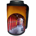 3dRose Danita Delimont - Architecture - Mexico, San Miguel de Allende, Back streets with colorful buildings - Can Cooler Bottle Wrap (cc_278296)