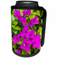 3dRose Danita Delimont - Flowers - Purple Bougainvillea, San Miguel de Allende, Mexico - Can Cooler Bottle Wrap (cc_278314)