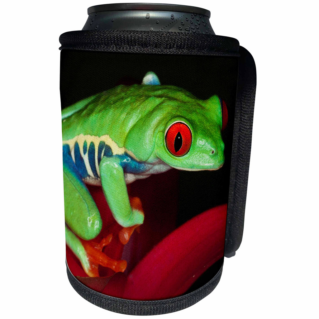 3dRose Danita Delimont - Frogs - South America, Panama. Red eyed tree frog on bromeliad flower. - Can Cooler Bottle Wrap (cc_278318)