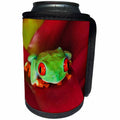 3dRose Danita Delimont - Frogs - South America, Panama. Red eyed tree frog. - Can Cooler Bottle Wrap (cc_278319)