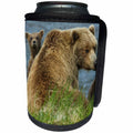 3dRose Danita Delimont - Bears - Brown bear sow and cubs look around, Katmai National Park, Alaska, USA - Can Cooler Bottle Wrap (cc_278326)