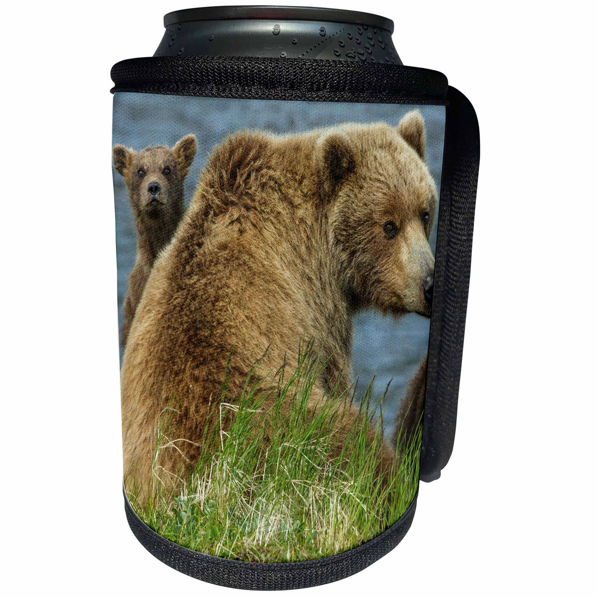3dRose Danita Delimont - Bears - Brown bear sow and cubs look around, Katmai National Park, Alaska, USA - Can Cooler Bottle Wrap (cc_278326)