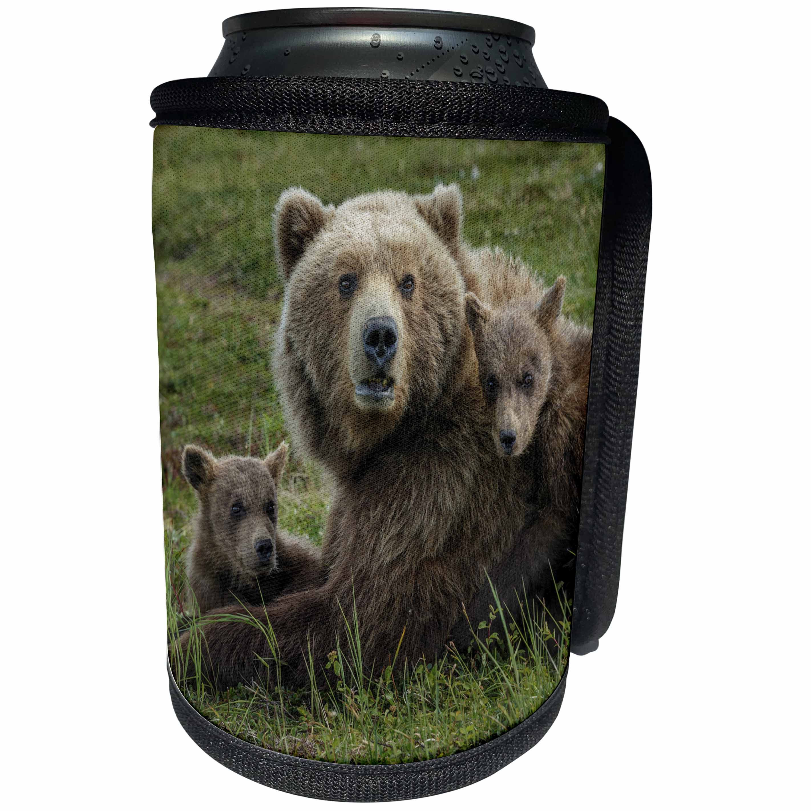 3dRose Danita Delimont - Bears - Brown bear sow and cubs, Katmai National Park, Alaska, USA - Can Cooler Bottle Wrap (cc_278327)